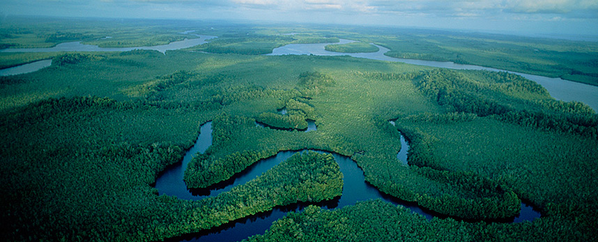 Congo Basin, Lonely Planet's Best in Travel 2015. Image: Congo Travel and Tours