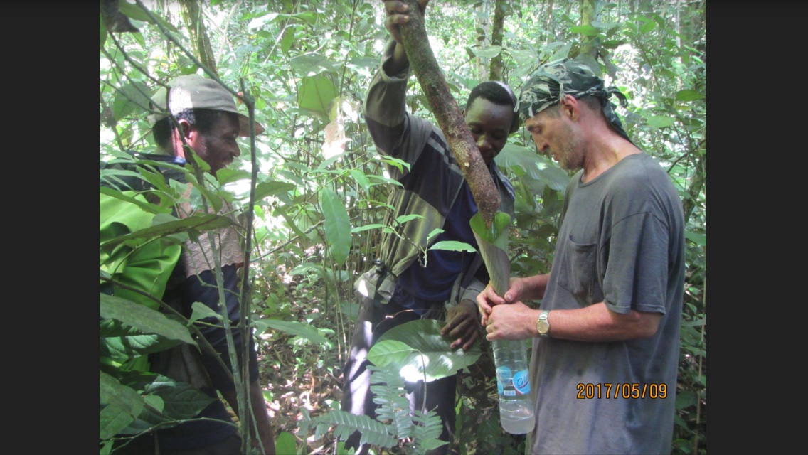 Lake Tele Expedition - Congo Travel and Tours