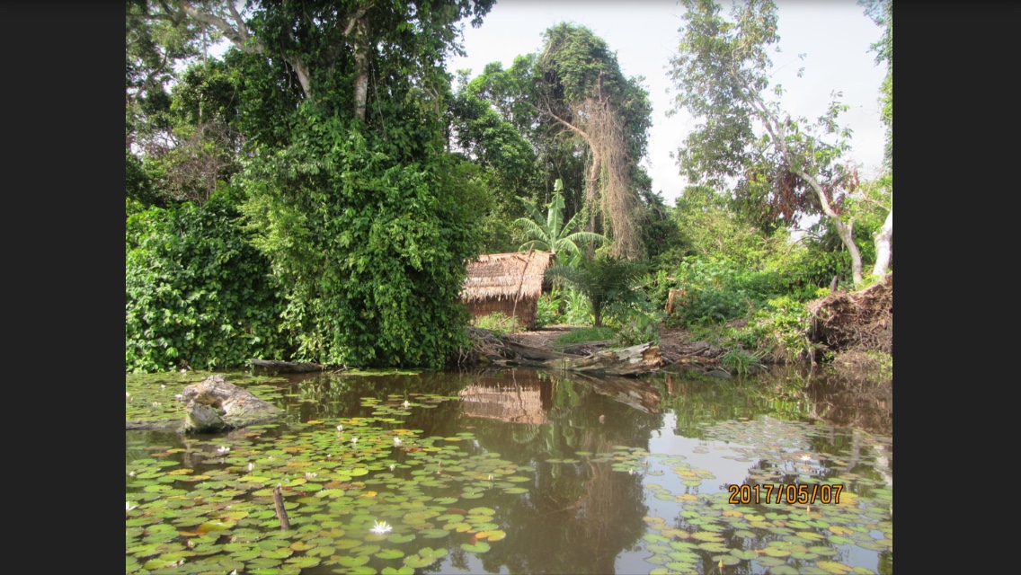 Lake Tele – Epena, Republic of the Congo - Atlas Obscura