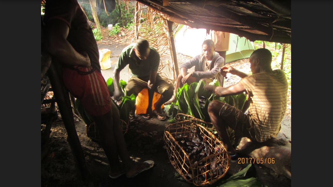 Mokele mbembe, Adventure in Congo